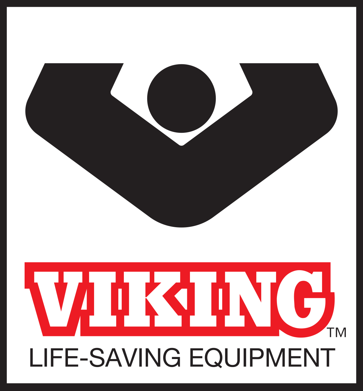 VIKING logo - jpg